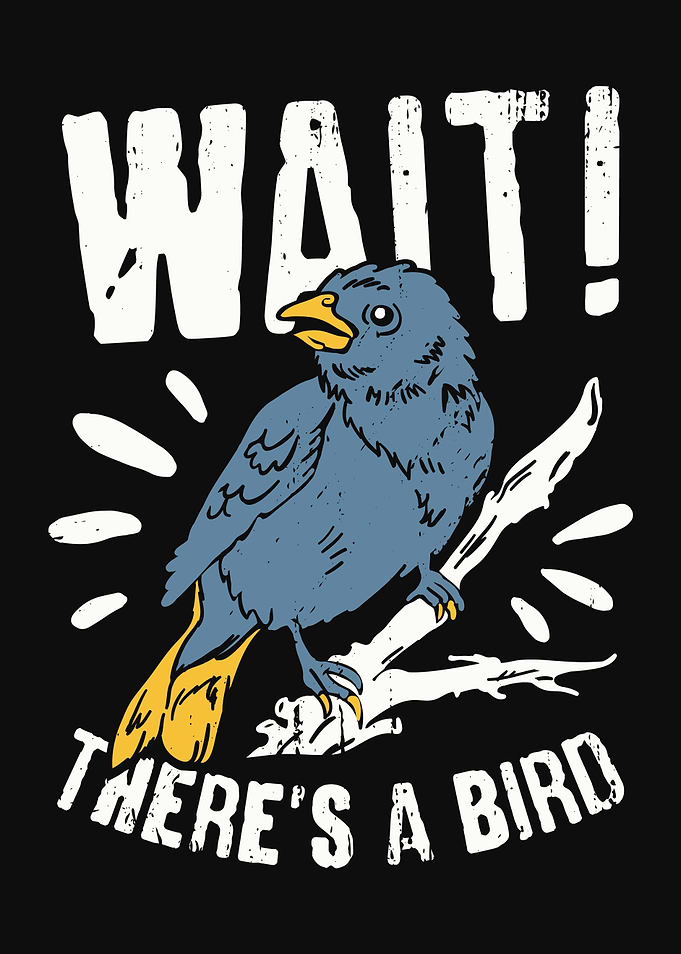 Birdwatching Design