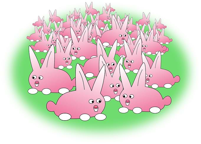 baby pink rabbit