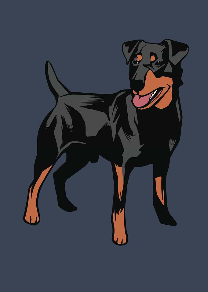 German Hound