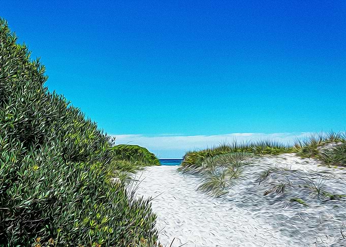 Pathway to the beach