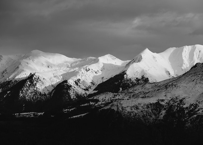 The Pyreneese