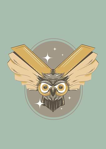 Magic Book Owl