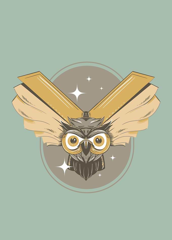 Magic Book Owl