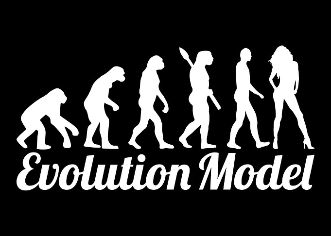 Model