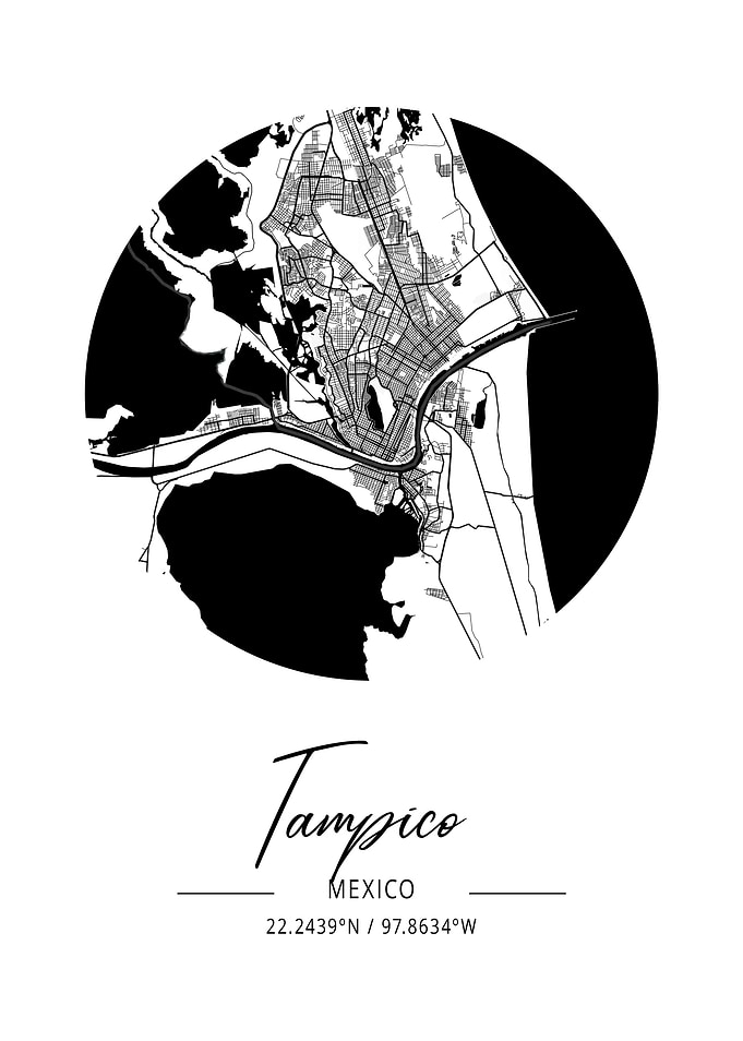 Tampico Area City Map