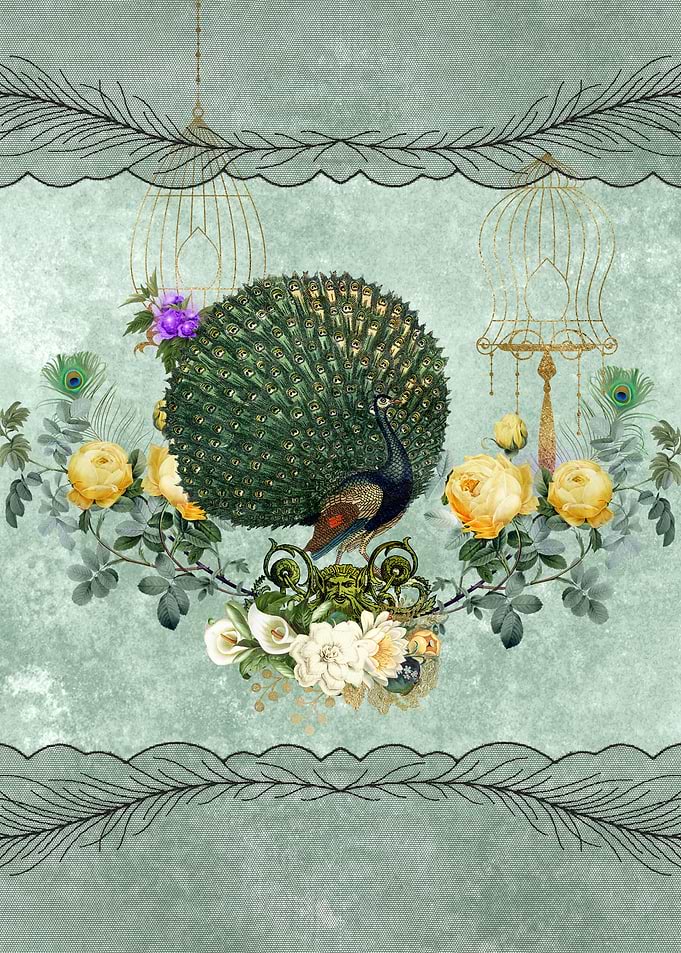 Elegant peacock