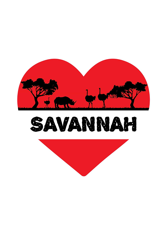 Africa Savannah