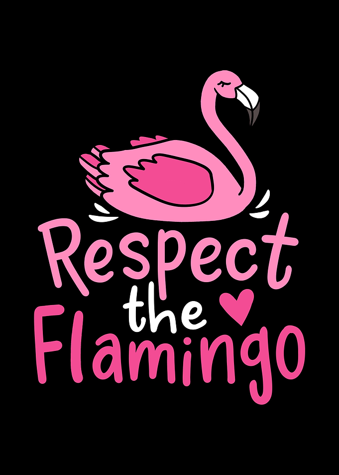 Respect the Flamingo Funny