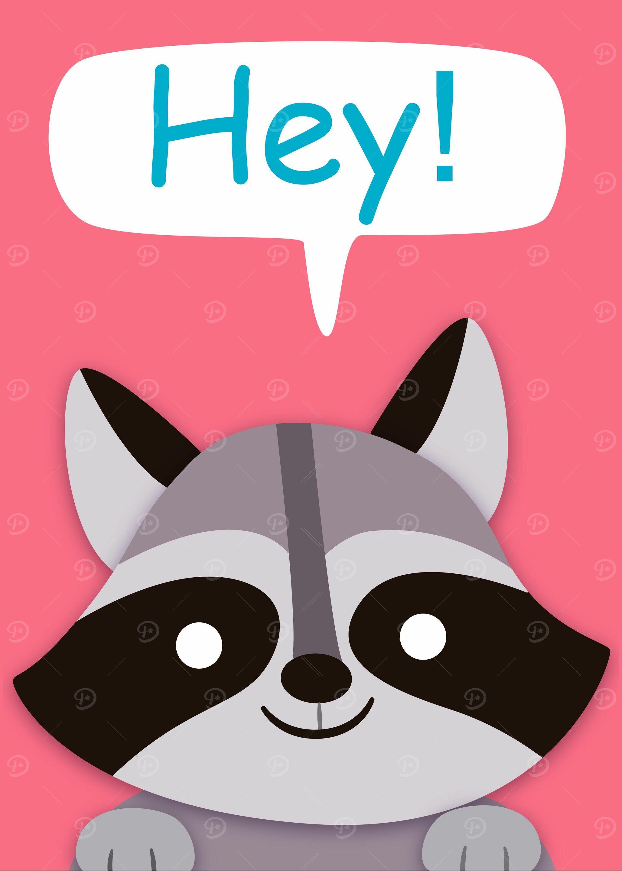 Raccoon