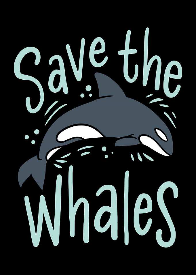Save The Whales Orca Kille