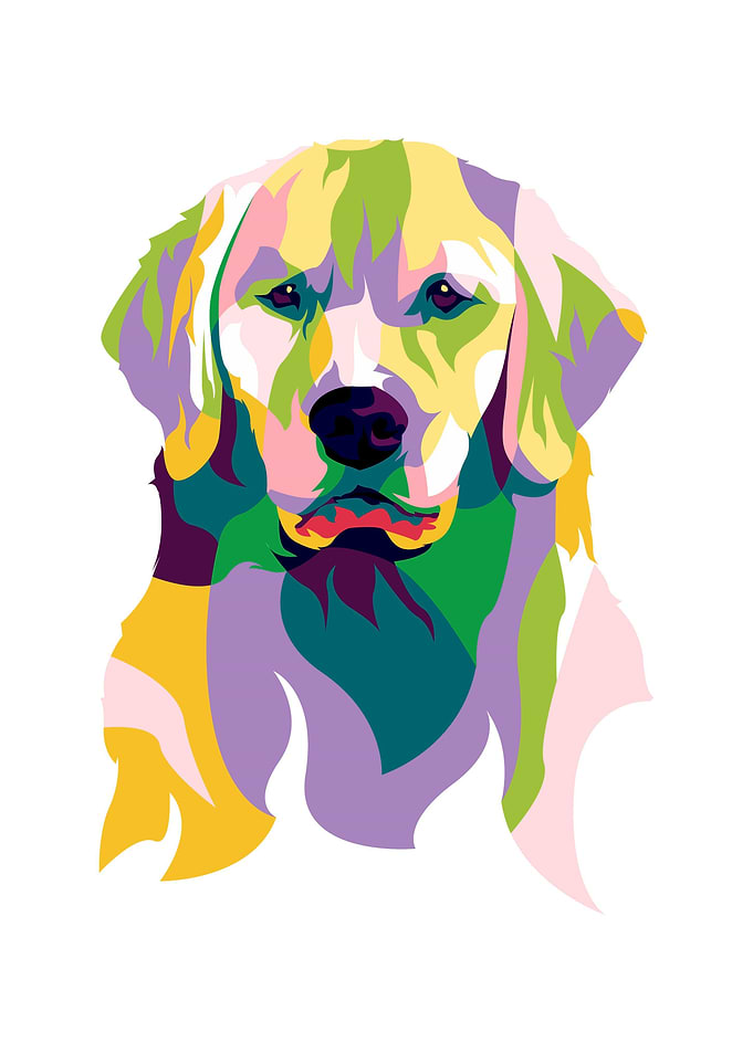 colorful dog