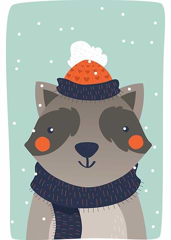 Raccoon