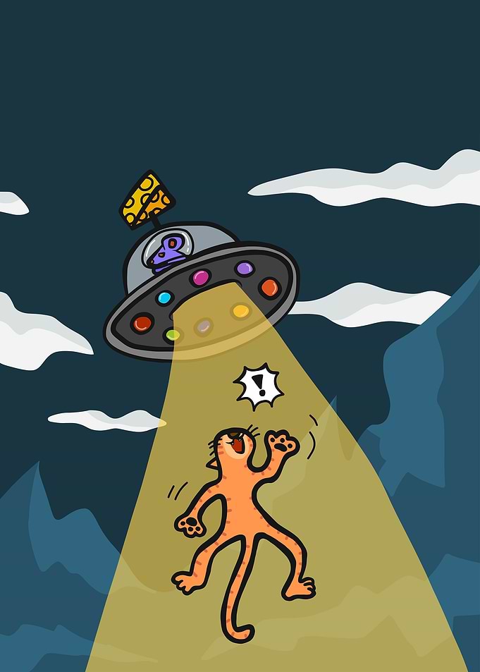 Alien rat kidnap cat