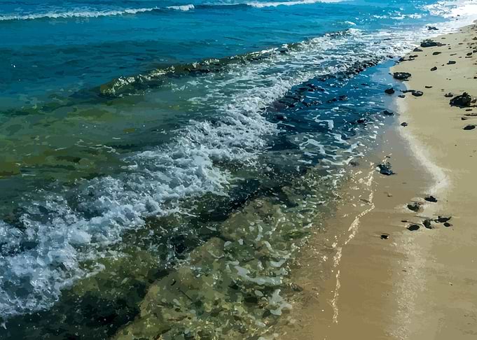 Sandy Shoreline