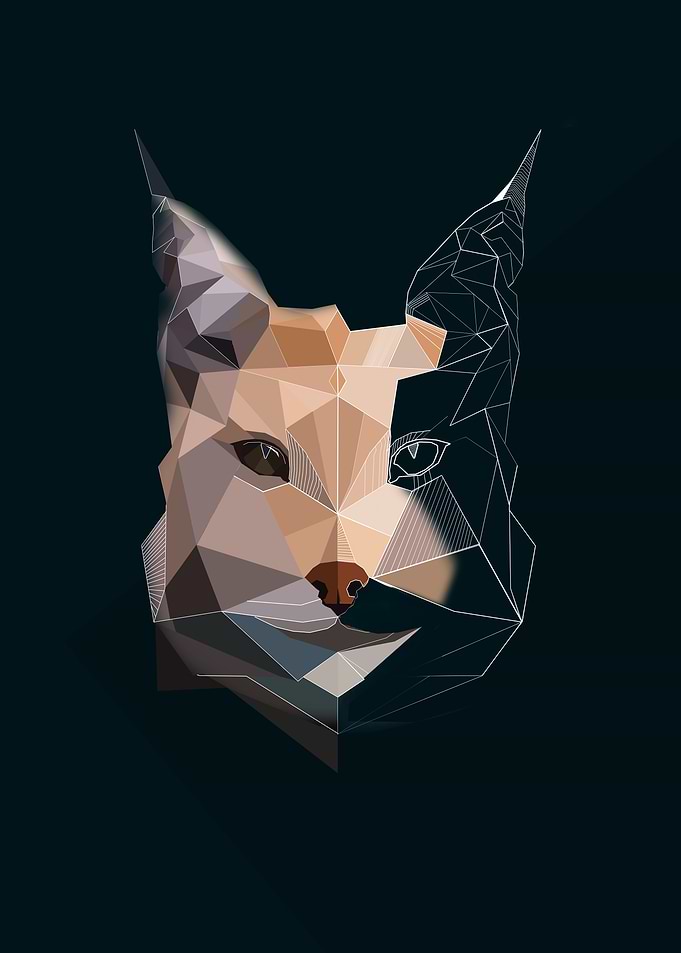 The Lynx