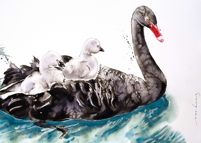 Joy Ride