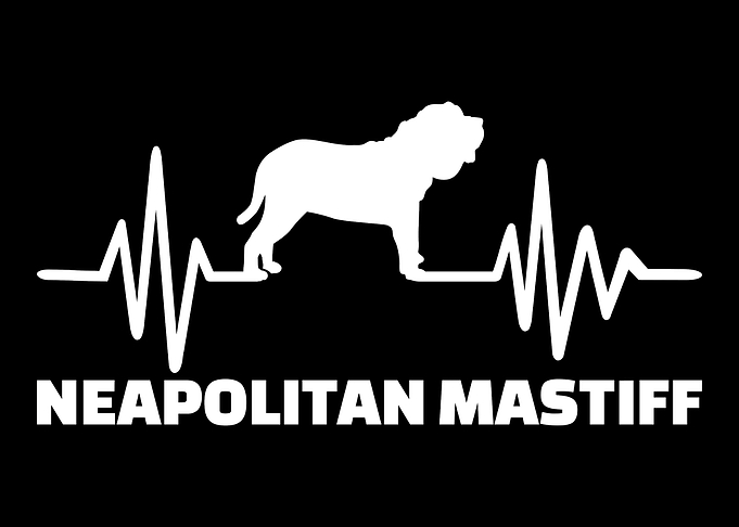 Neapolitan Mastiff