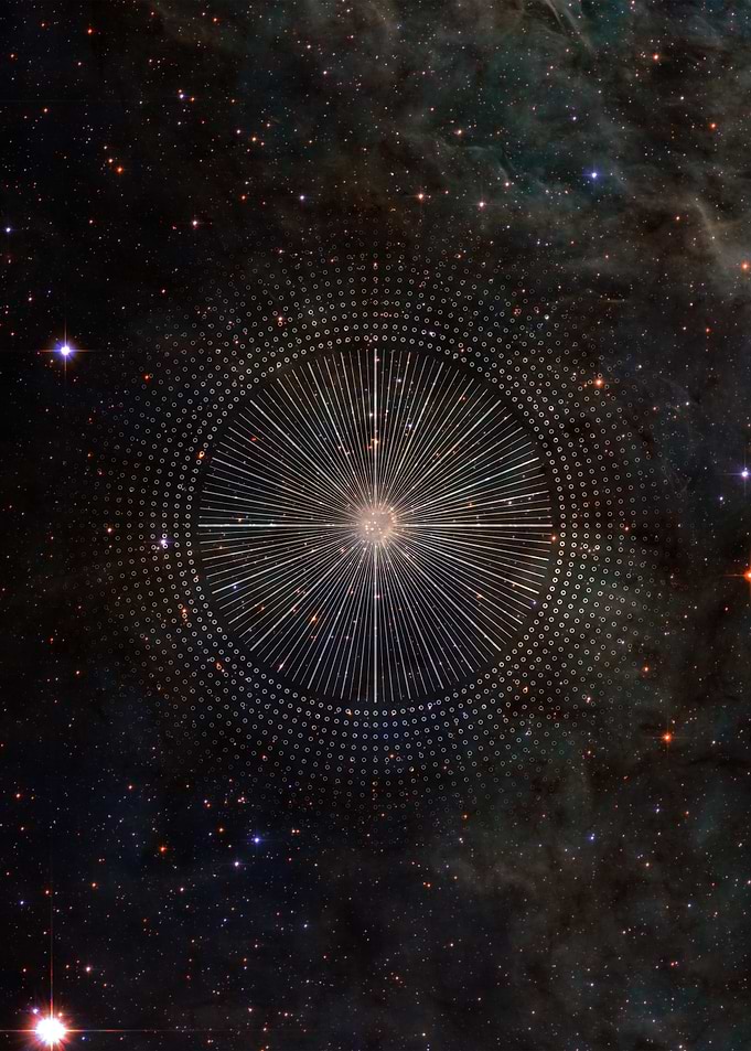 Stellar Wind Rose