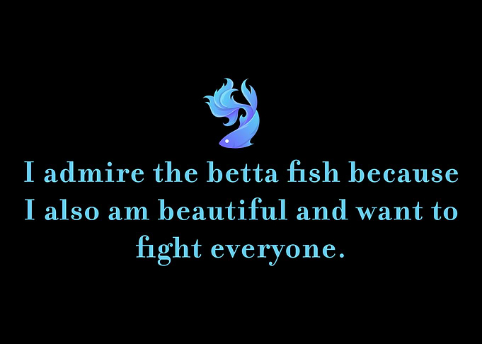 Betta fish Splendens