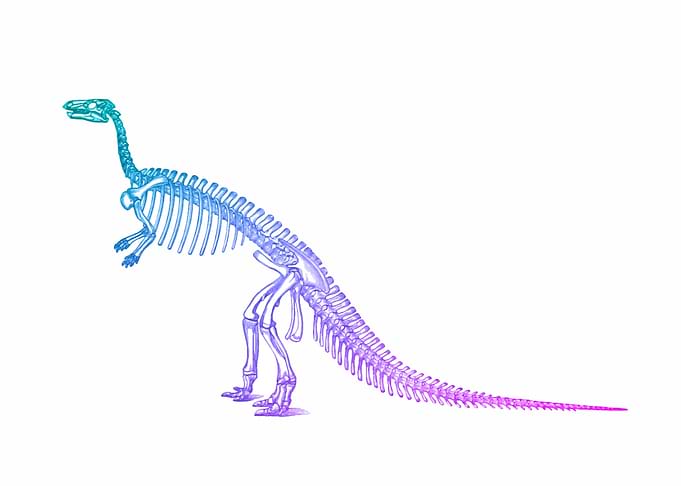 Dinosaur skeleton
