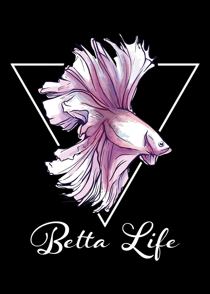 Betta Life fish Splendens