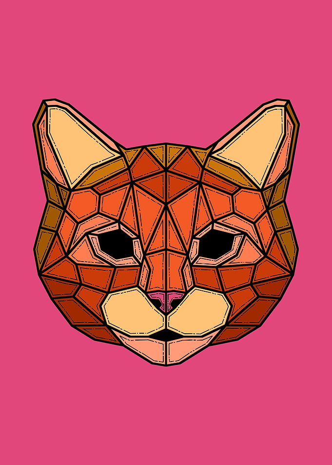Retro Geometric Cat