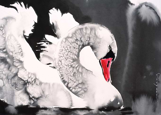 Swan Elegance