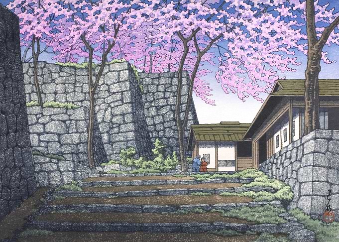 Sakura At Shirakawa Castle