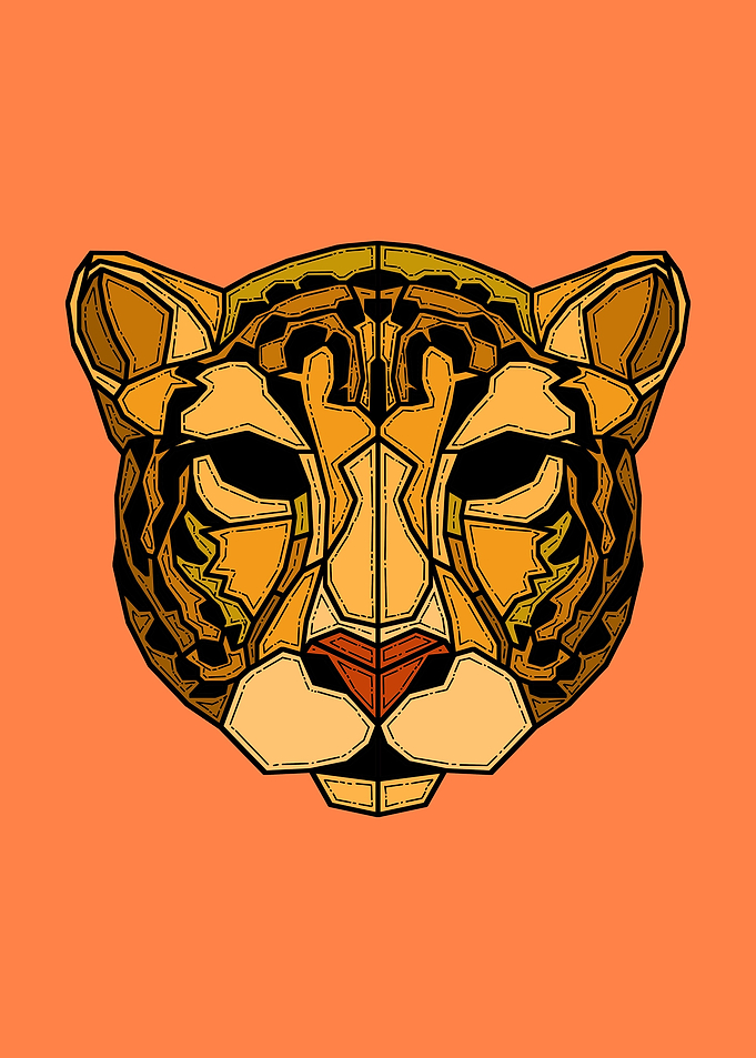 Retro Geometric Cheetah