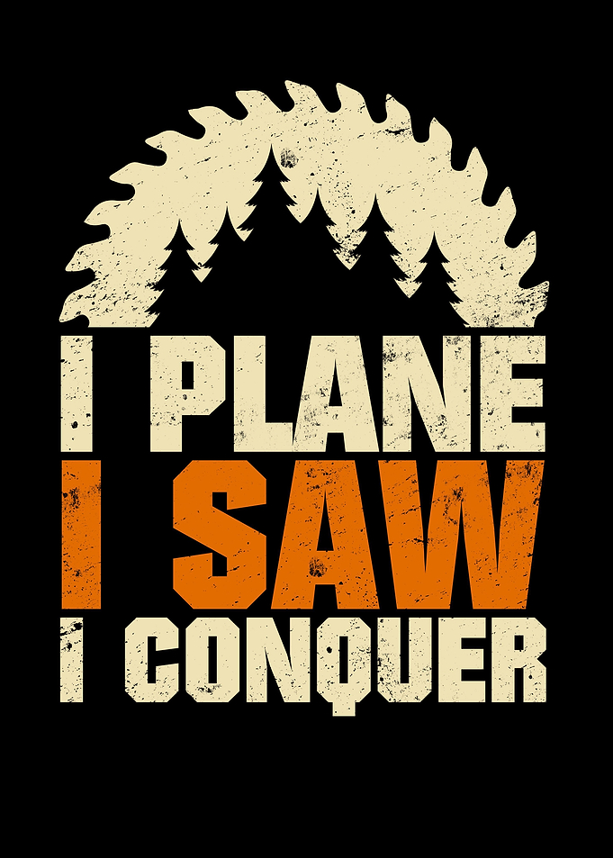 I Plane I Saw I Conquer