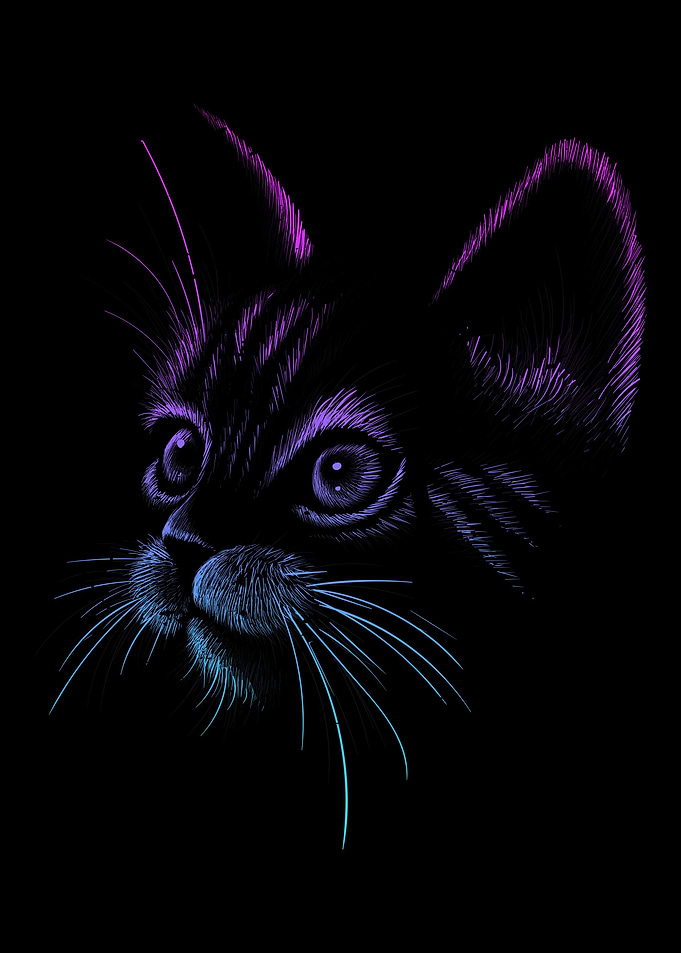 Kitty