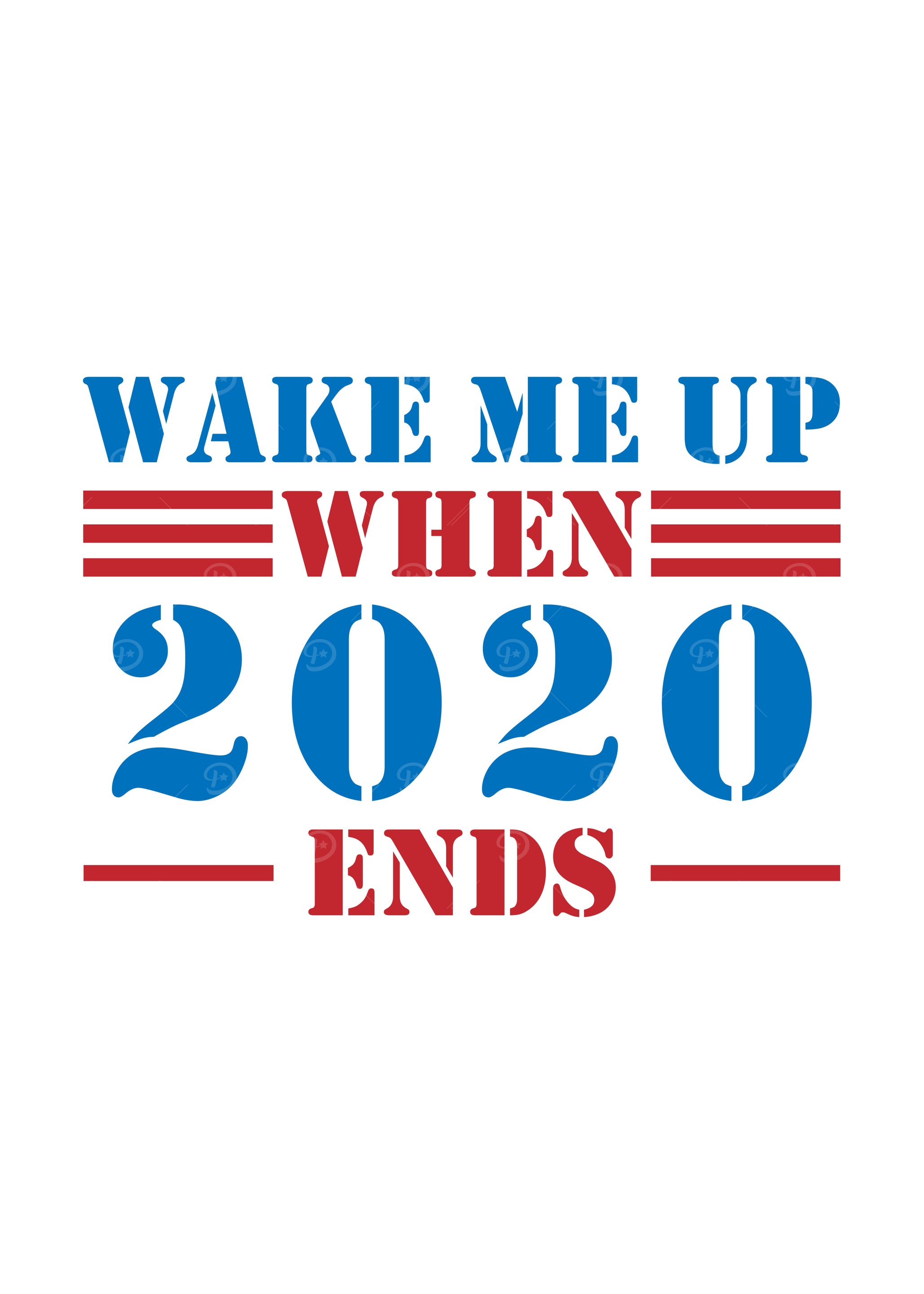 Wake Me Up When 2020 Ends