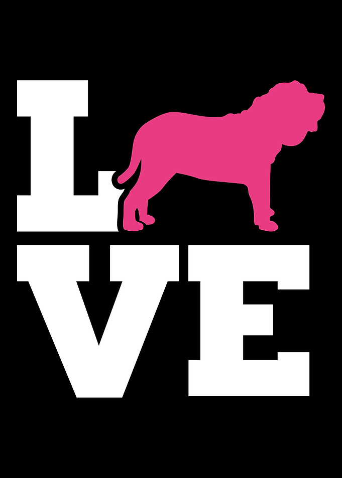 Neapolitan Mastiff