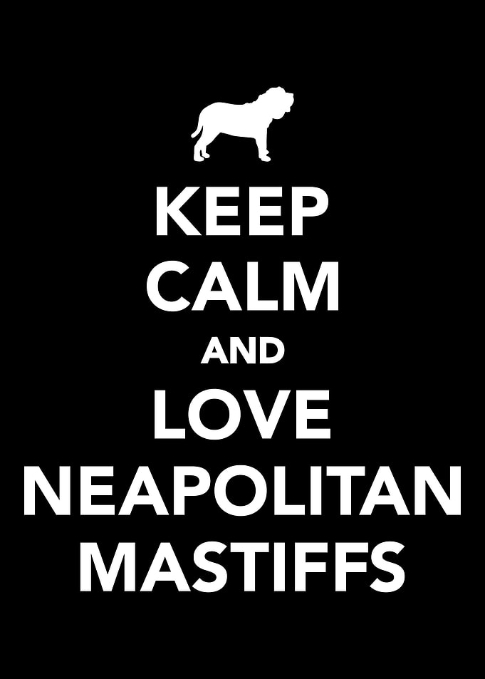 Neapolitan Mastiff