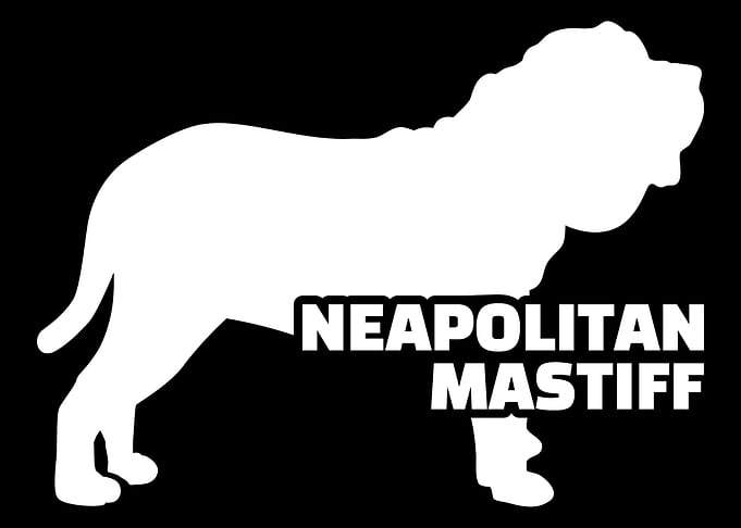 Neapolitan Mastiff