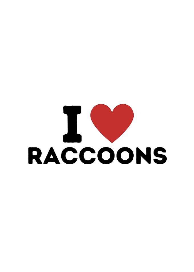 I Love Raccoons Simple