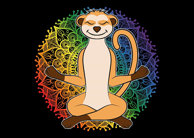 Meerkat Afrika Amimal Yoga