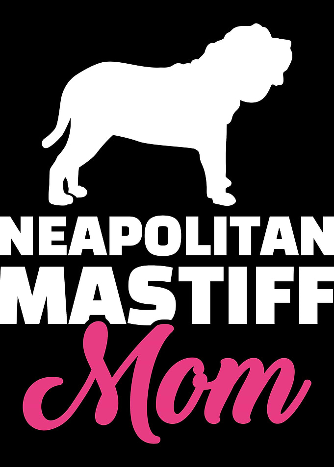 Neapolitan Mastiff