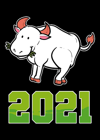 Year Of Ox New Year Celebr
