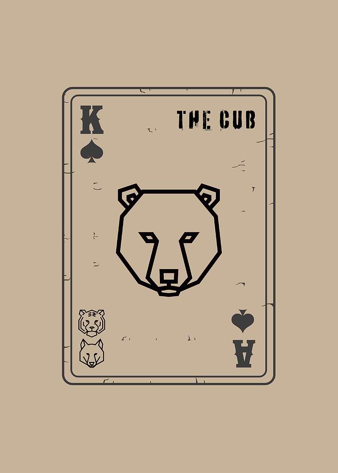 The Cub Big Bear