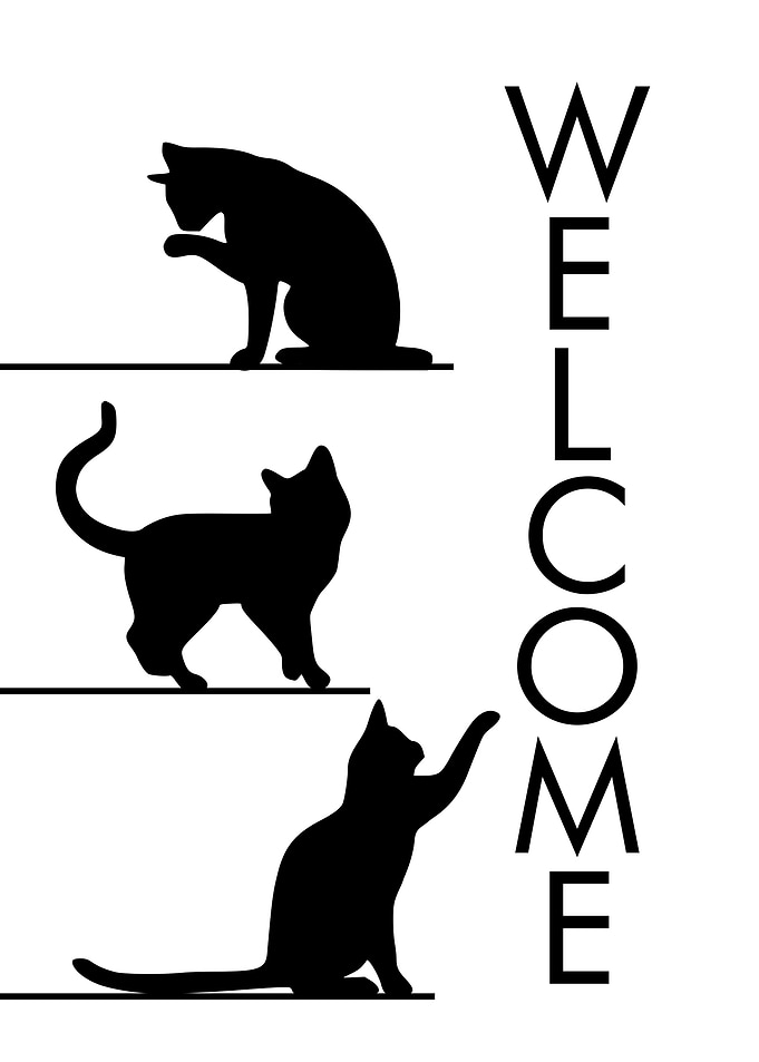 WELCOME BLACK CATS 3