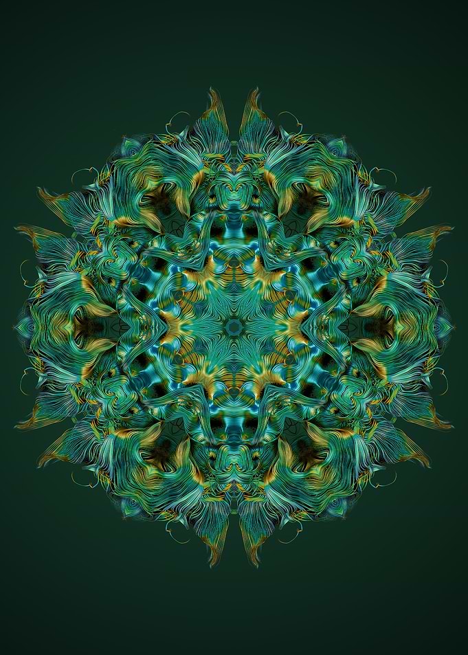 Mandala 9