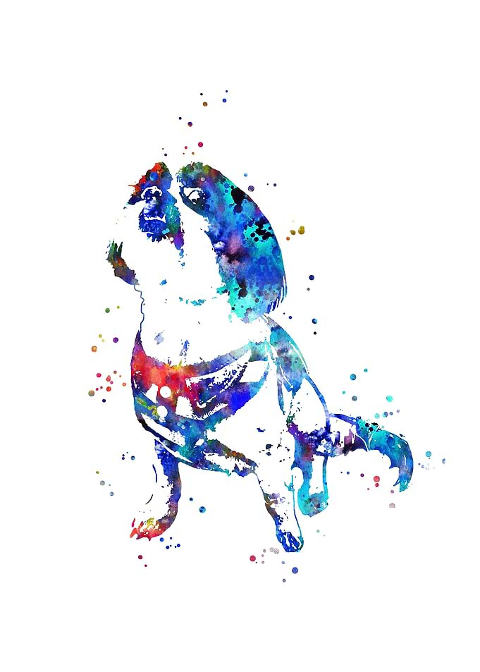 Maltese