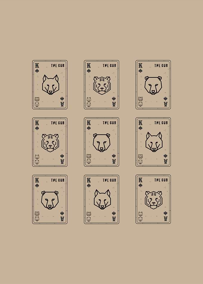 The Cub Selection Box