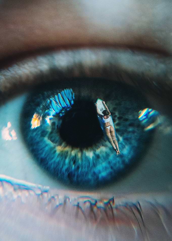 Trusting Vision