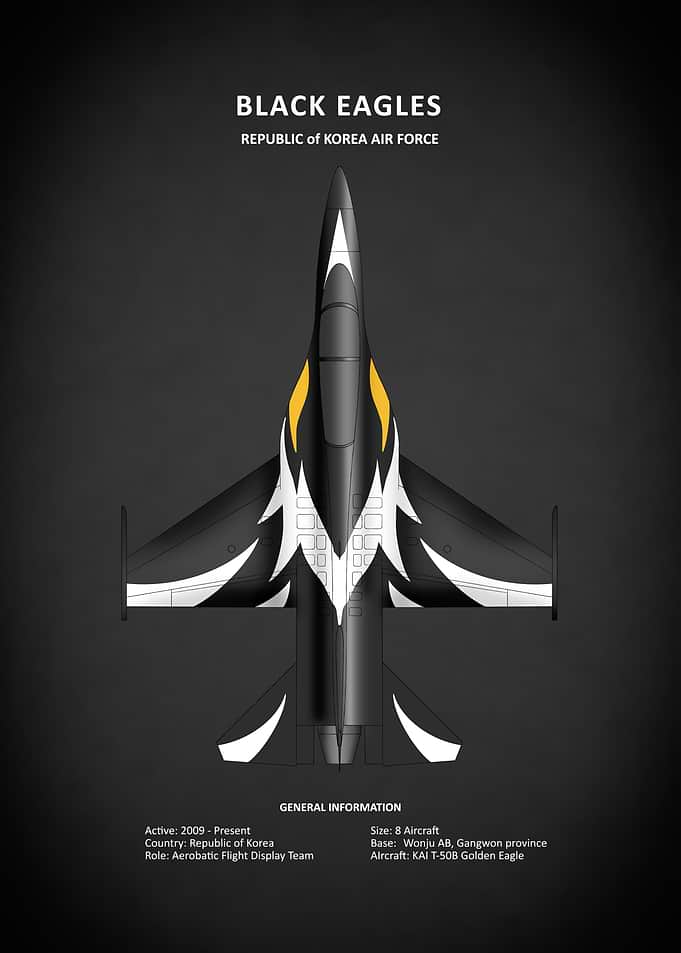 Black Eagles Aerobatics