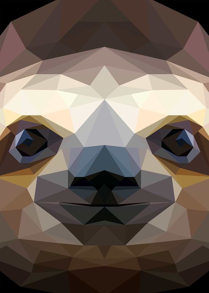 Sloth