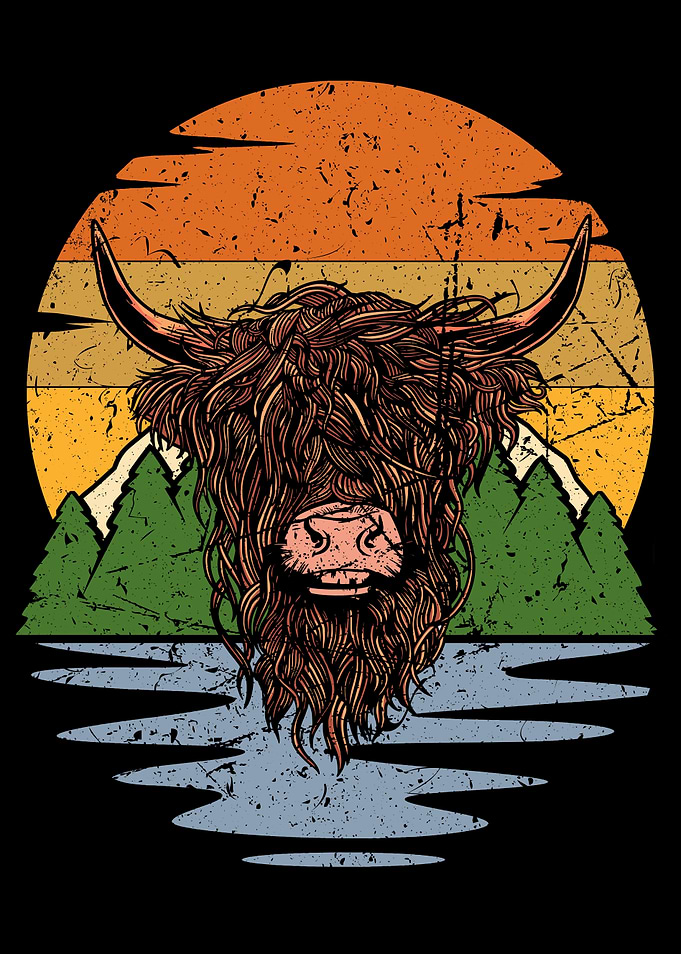 Scottish Highland Cattle