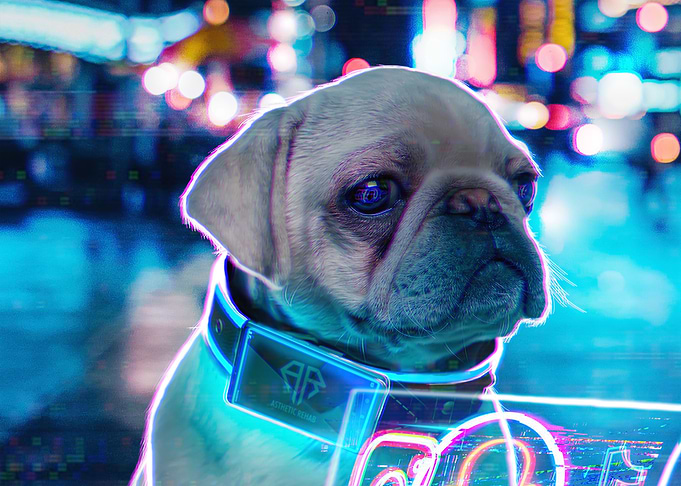 CyberPug