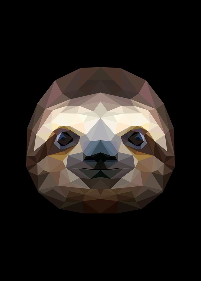 Sloth